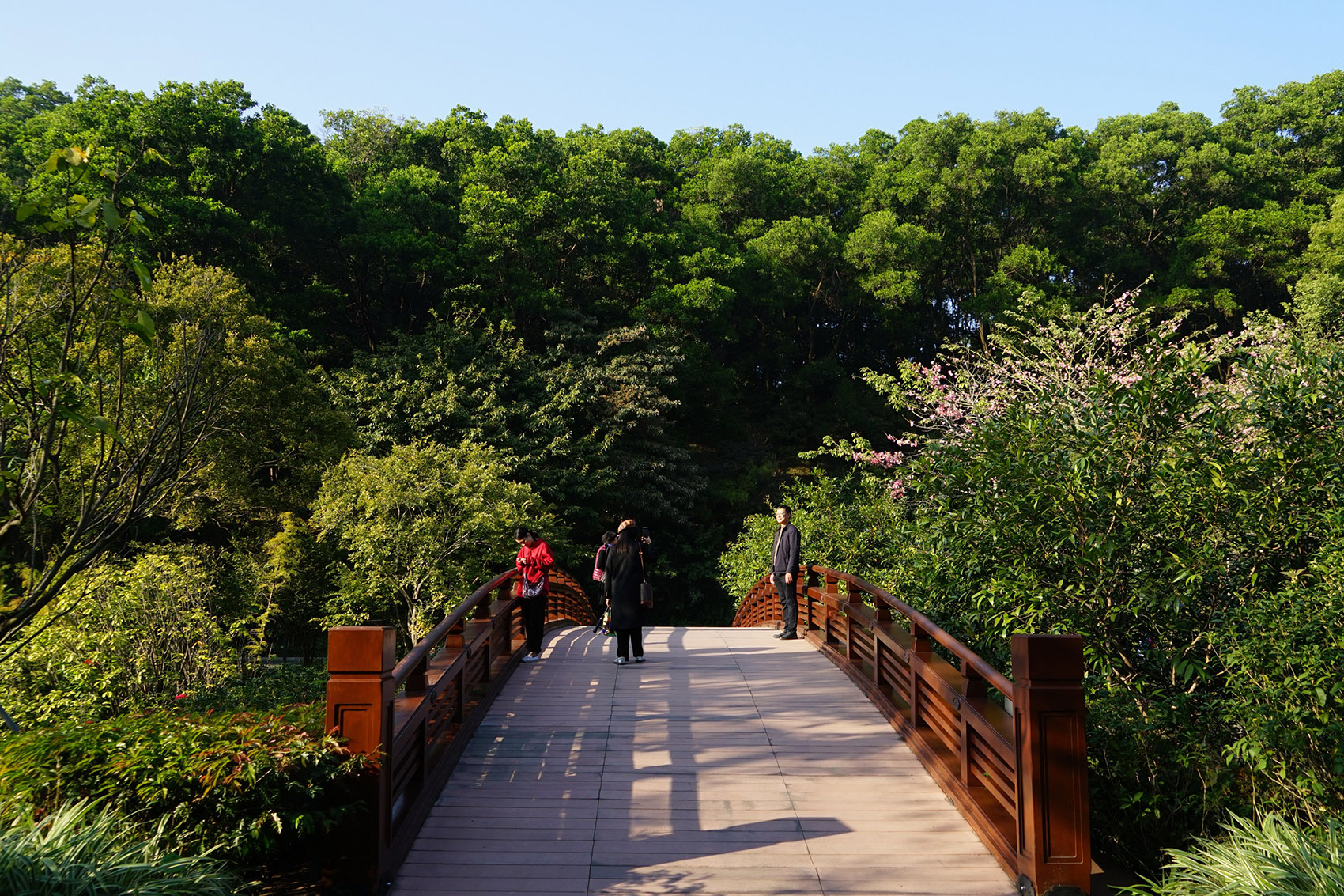 广州云溪植物园环境提升工程整体景观设计丨中国广州丨AECOM,广州园林建筑规划设计研究总院等-77