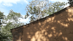 终南山书院 | 回归自然的诗意栖居-66