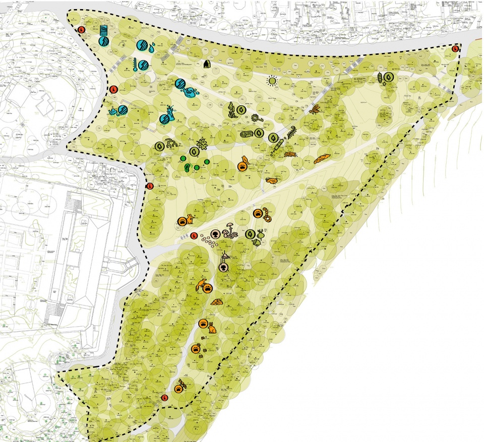 埃尔福特艾格公园知识森林丨德国丨德国雷瓦德景观建筑事务所-15