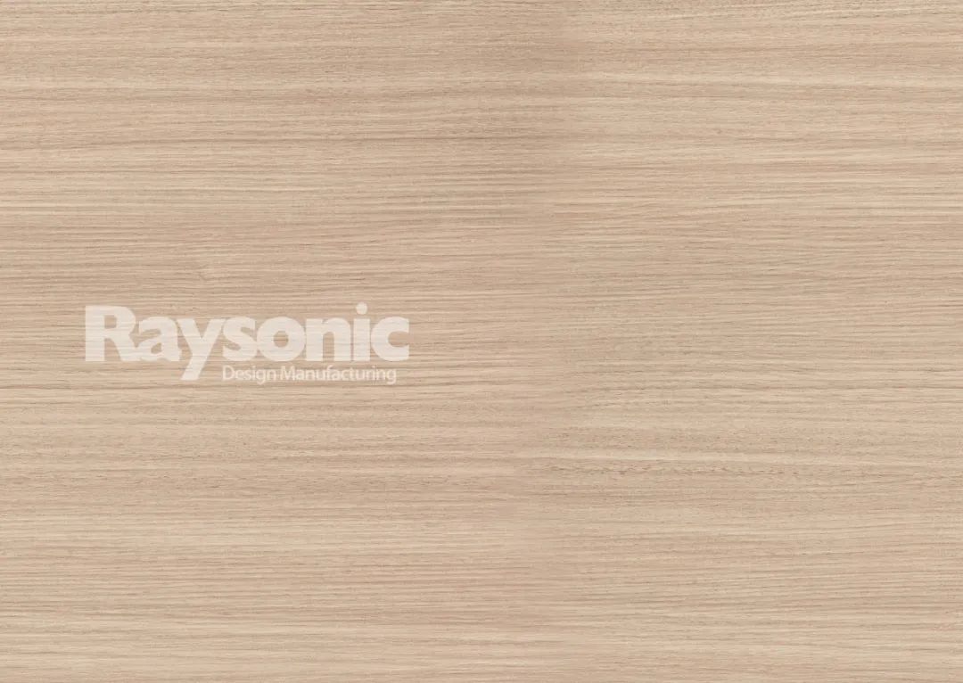 Raysonic2021 新色自然生活空间设计-13