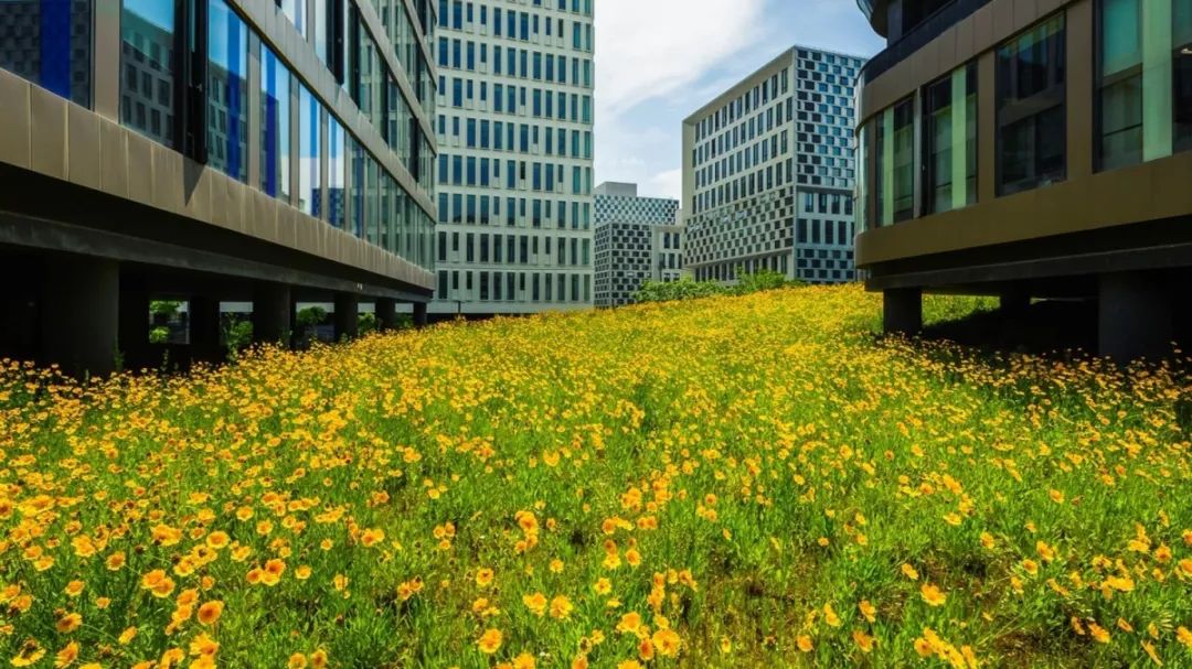 华鑫天地一期 | 建筑与景观的生态融合-79