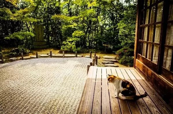 日本庭院设计 | 营造幽玄恬静的氛围-19