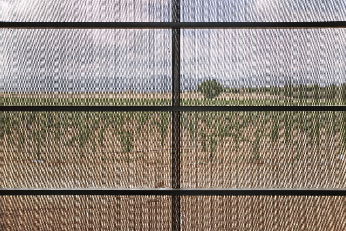 Son Juliana 酒厂-15