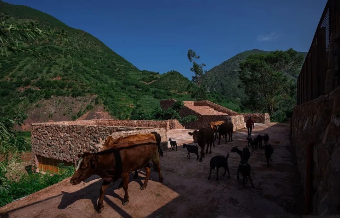 金奖+特别奖|同济设计集团在2025年亚洲建筑师协会建筑奖中斩获2项大奖-63