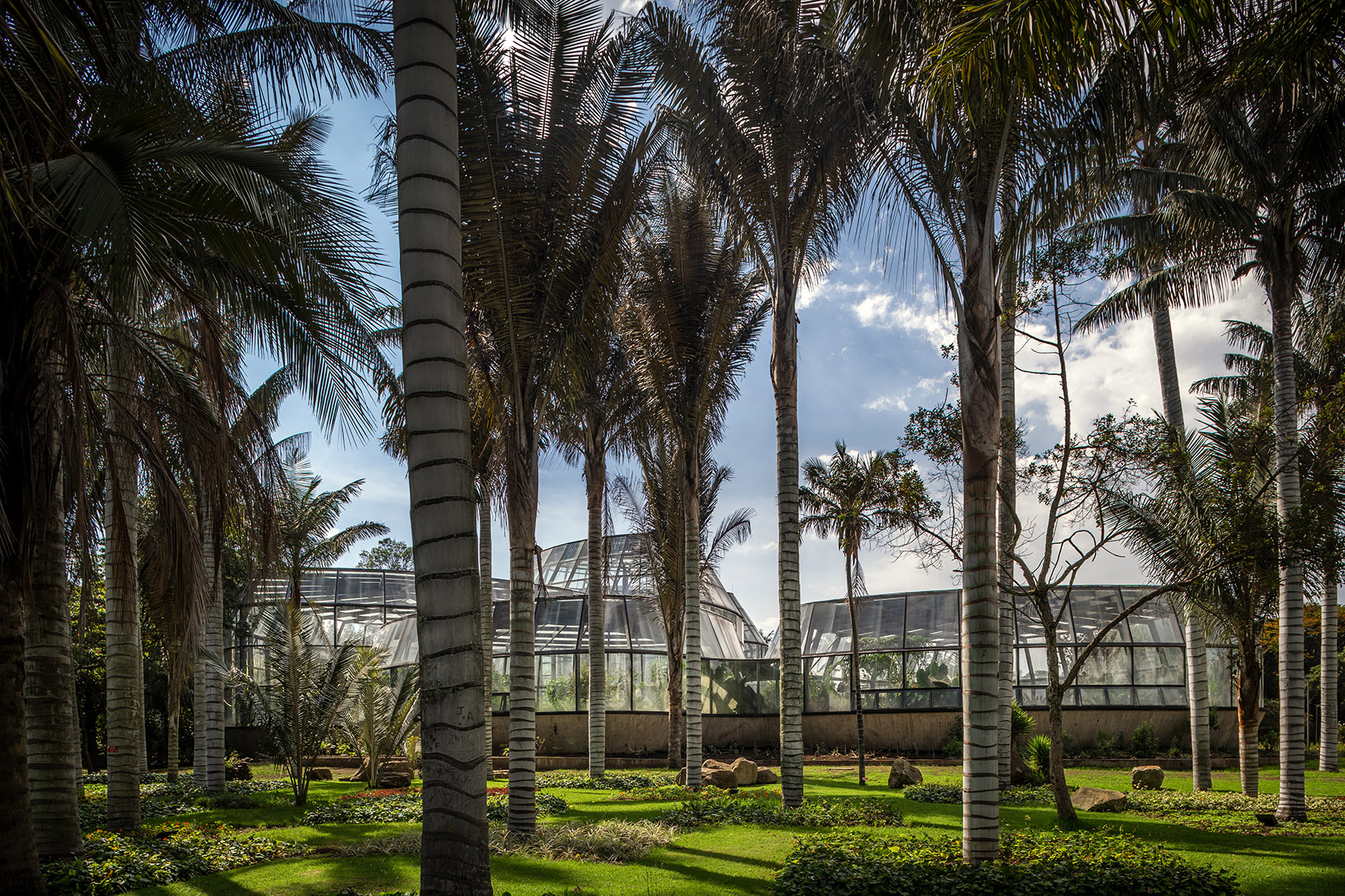 圣菲波哥大热带植物园丨哥伦比亚丨DARP-18