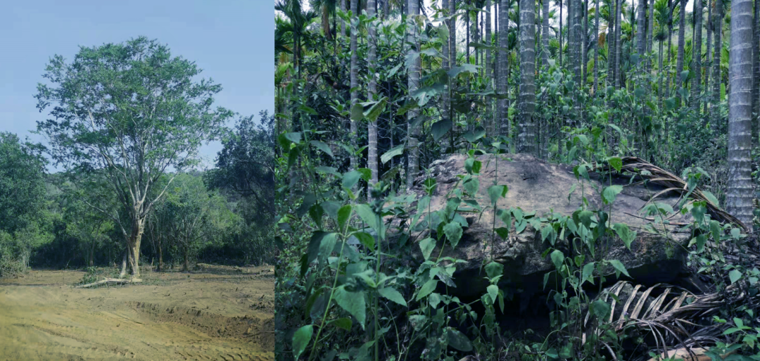 三亚万科瑧山谷,都会四季丨中国三亚丨WTD纬图设计-18