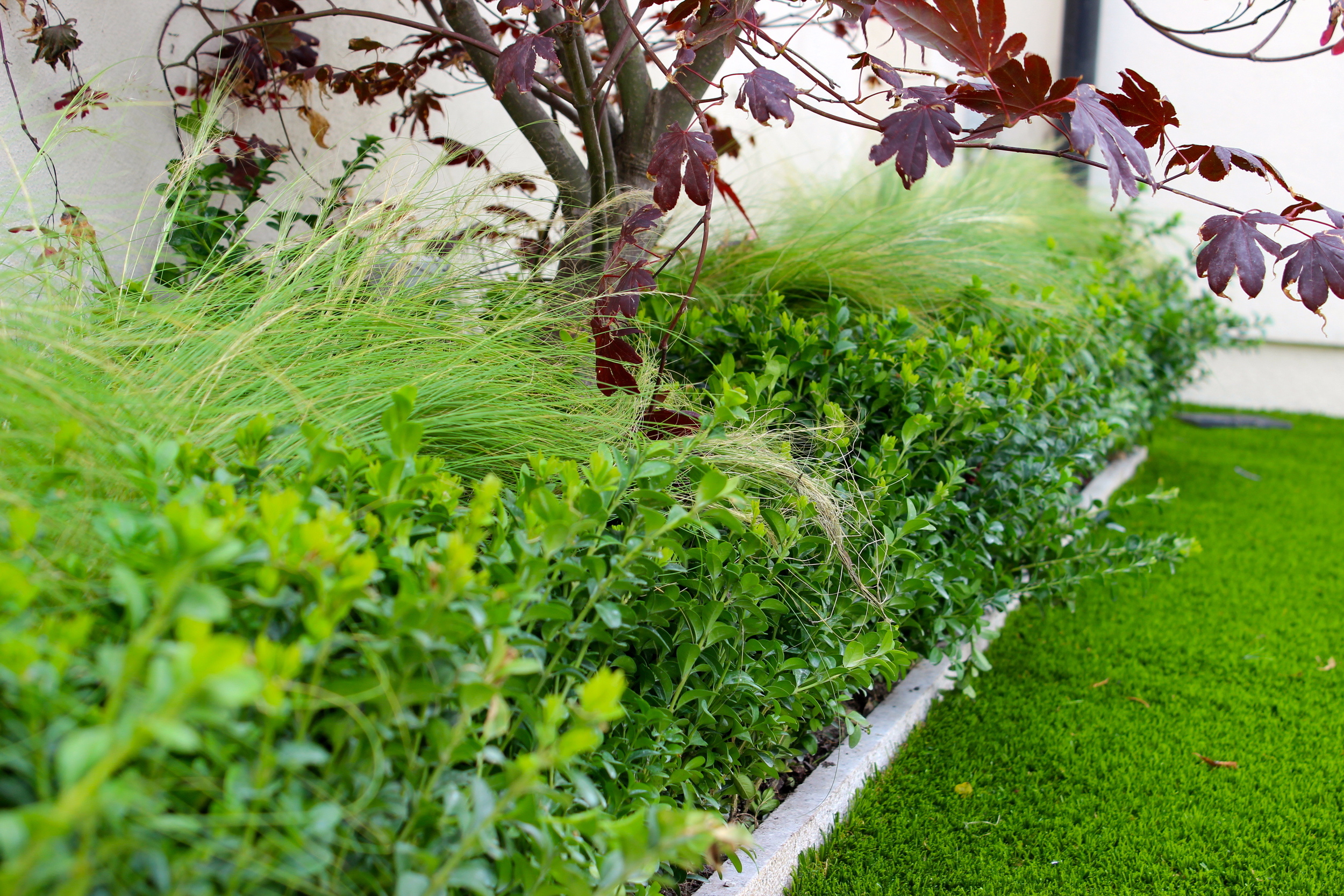 Templeogue Turf住宅后花园景观设计丨爱尔兰都柏林-76