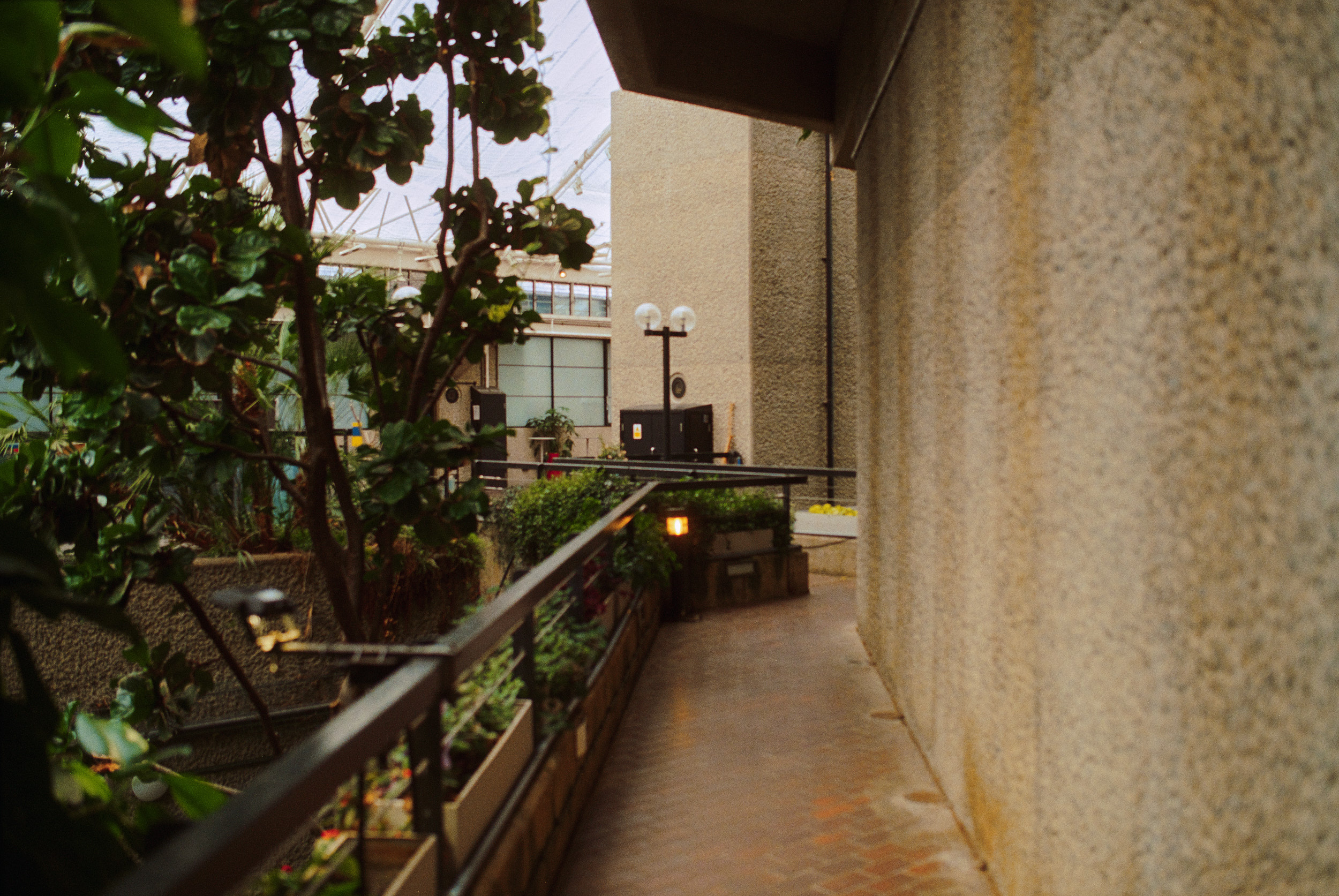 巴比肯温室丨英国伦敦-36