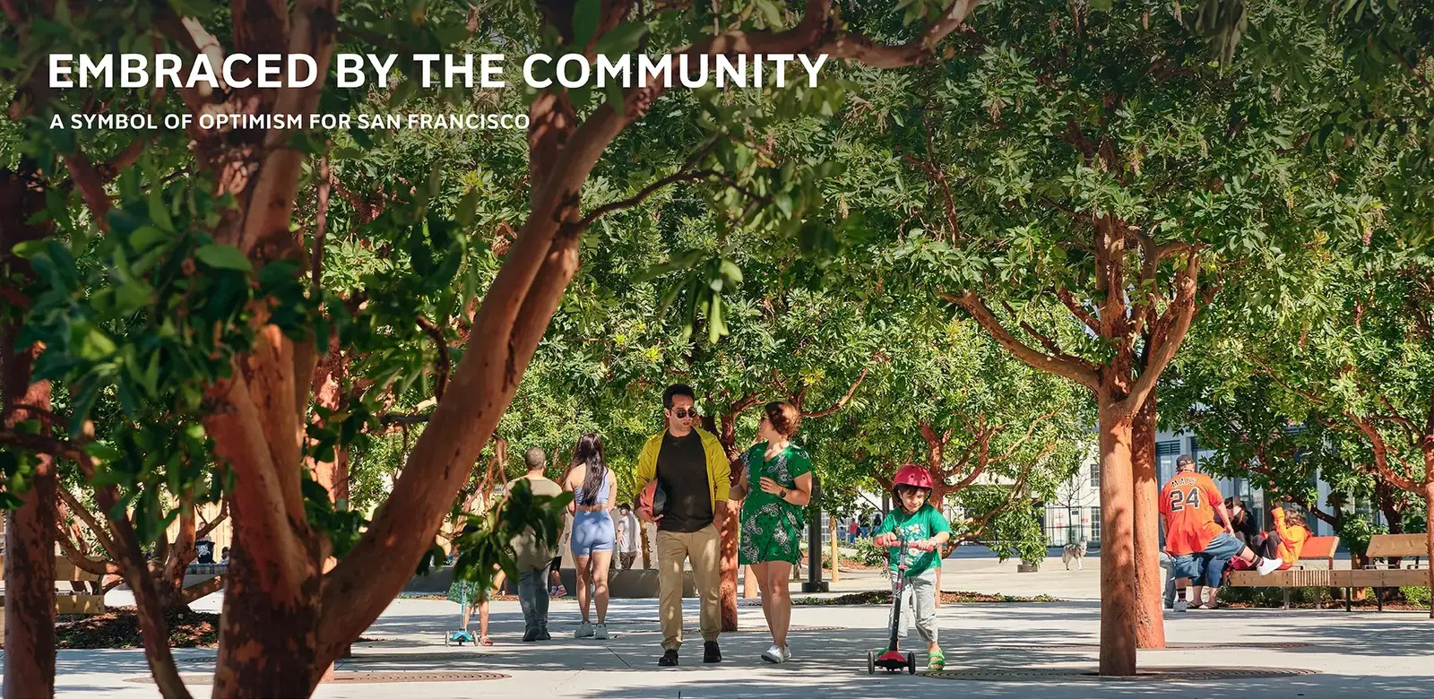 旧金山中国盆地公园丨美国丨SCAPE-25