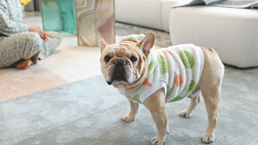 新·趣丨中国成都丨STUDIO.Y室内设计事务所-19