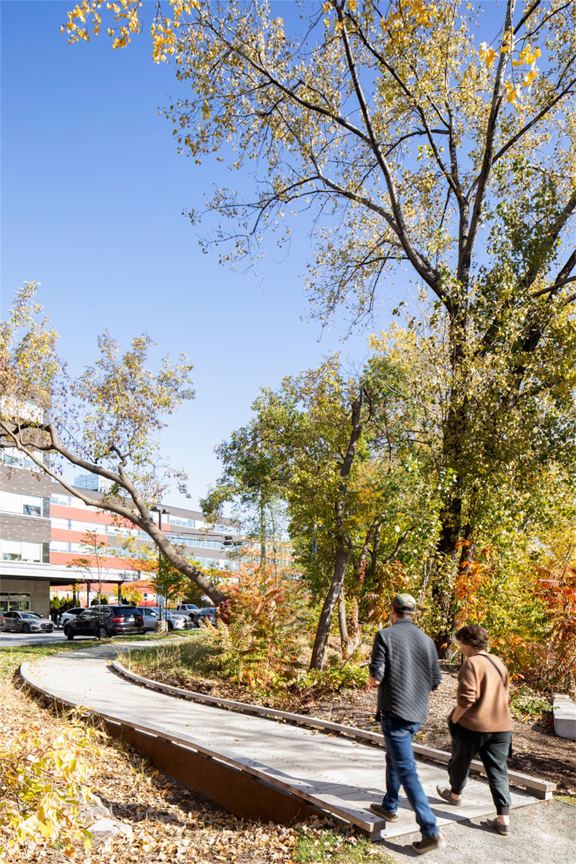 大猩猩公园丨加拿大蒙特利尔丨civiliti-33