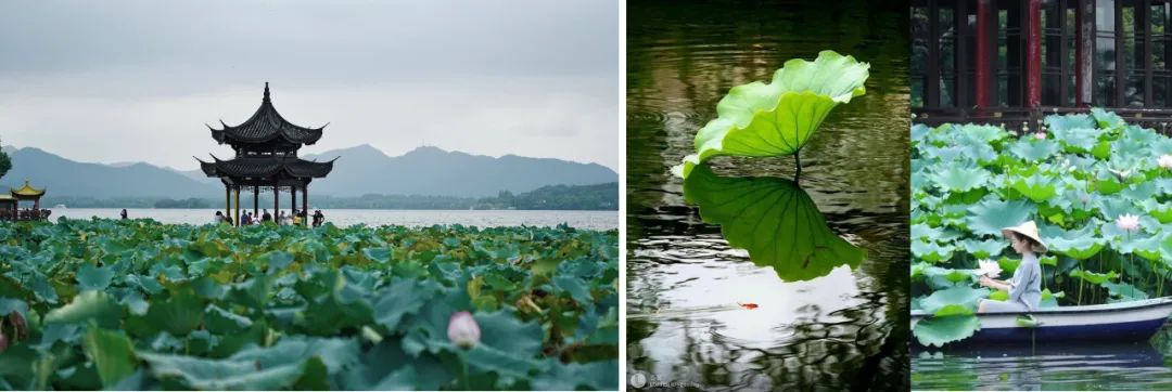 秘境荷塘湊湊火锅店丨中国杭州丨广州市原计划创意设计有限公司-6