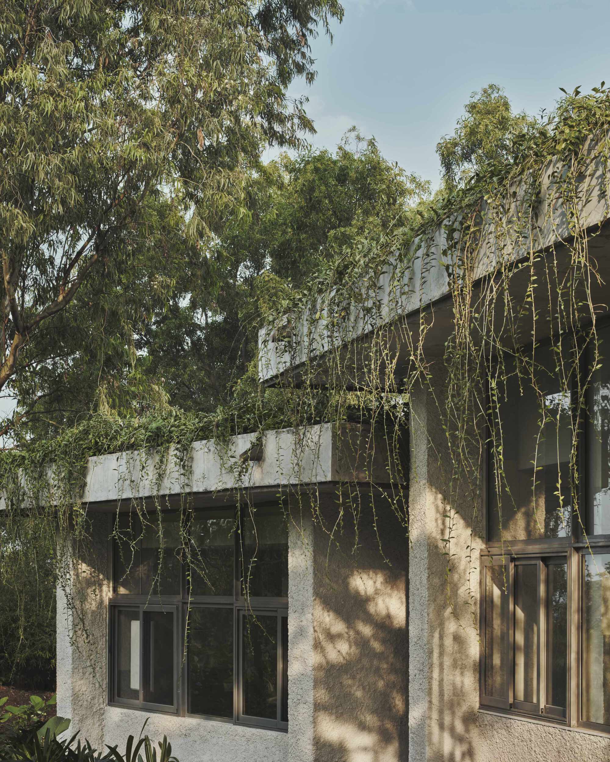 湖景别墅；湖畔住宅（注：Lake House常见释义为这两种，具体需结合语境确定，这里按常见理解给出） 丨印度丨Mazumdar Bravo-23