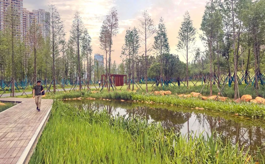 长沙圭塘河生态公园 | 城市与自然的和谐交响-66