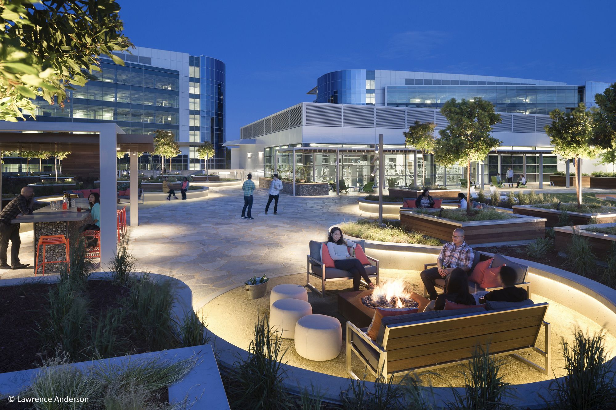 莫菲特网关俱乐部-6