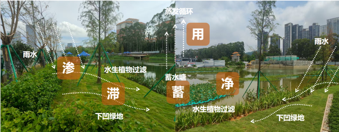 设计大师走进校园，共话凤凰大道调蓄塘ESG实践：打造城市“水心脏”防汛新标杆-23