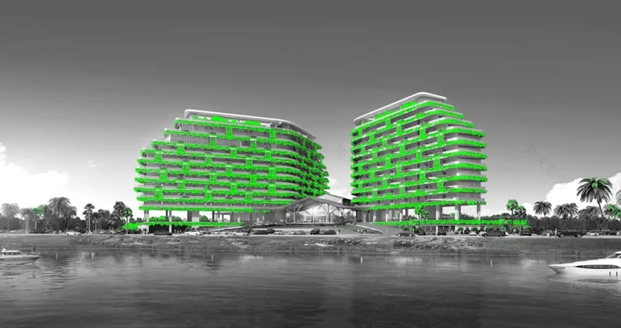 森林城市凤凰国际高尔夫酒店-33