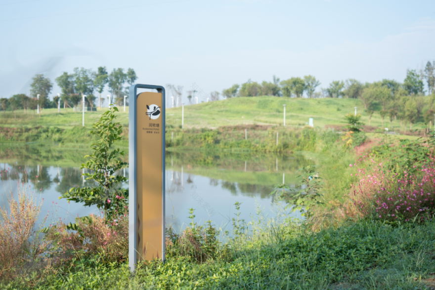 成都青龙农场,一粒种子的奇迹丨中国成都丨柏熙标识-74