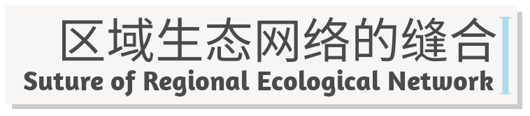 北京怀柔城南森林公园丨中国北京丨北京市园林古建设计研究院有限公司-20