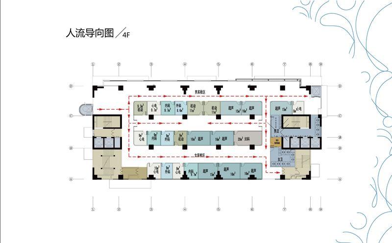 合肥美年大健康生态圈设计-26
