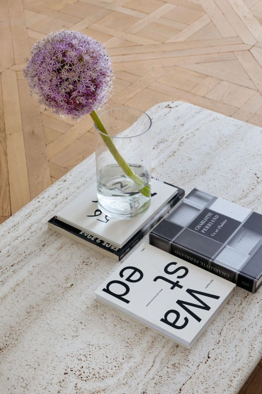 CASA PARIS 巴黎住宅丨巴西丨NJ Arquitetos-18