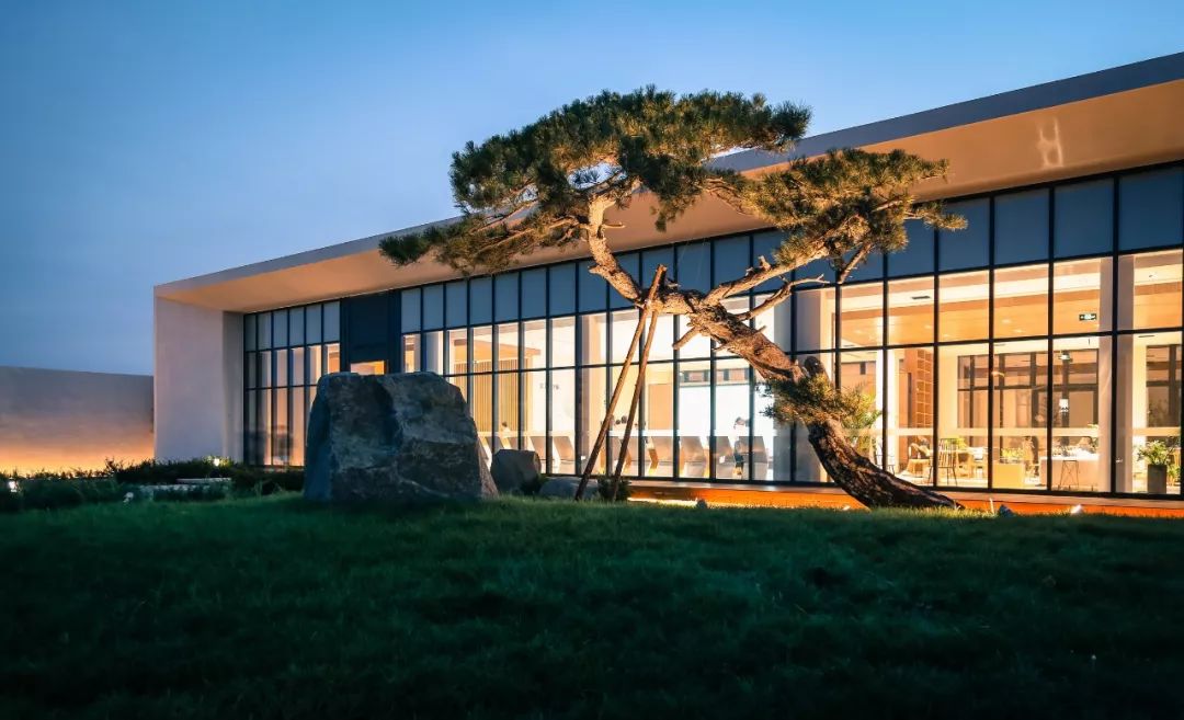 山海关金禧展示区 | 古松奇石，绘就历史画卷-3