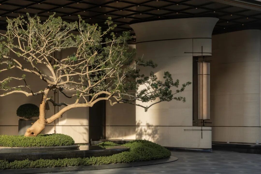 新作首发 上海中海·云邸玖章丨中国上海丨凯盛上景（北京）景观规划设计有限公司-7