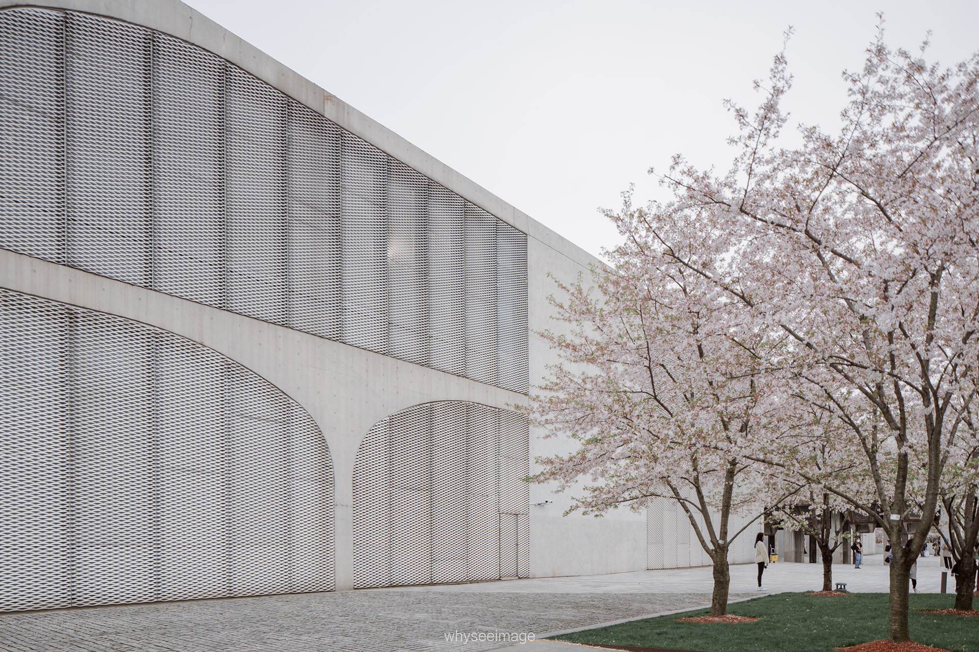 樱花+龙美术馆丨中国上海丨大舍建筑设计工作室-34
