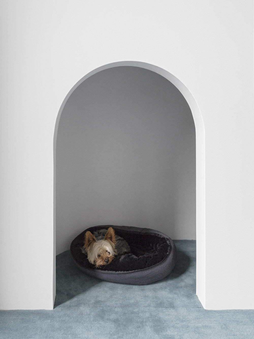 悉尼自然宁静住宅丨澳大利亚悉尼丨Adam Haddow-9