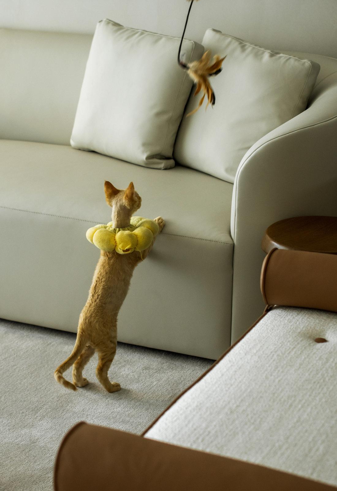 去繁从简,满载生活丨中国温州丨NinePick Design 杦拾设计-11