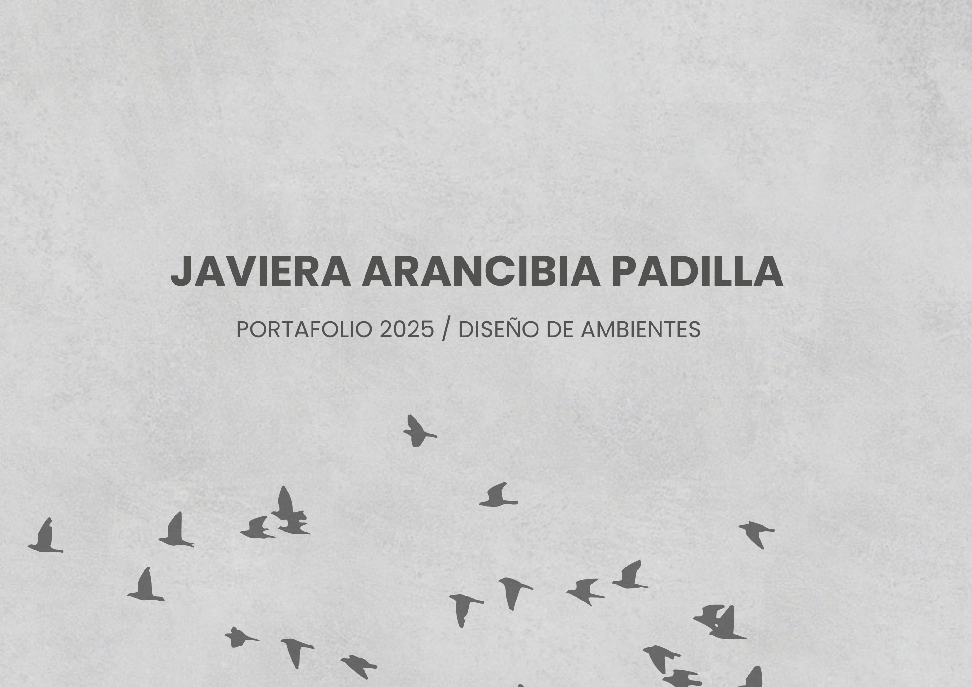 PORTAFOLIO JAVIERA ARANCIBIA PADILLA-0