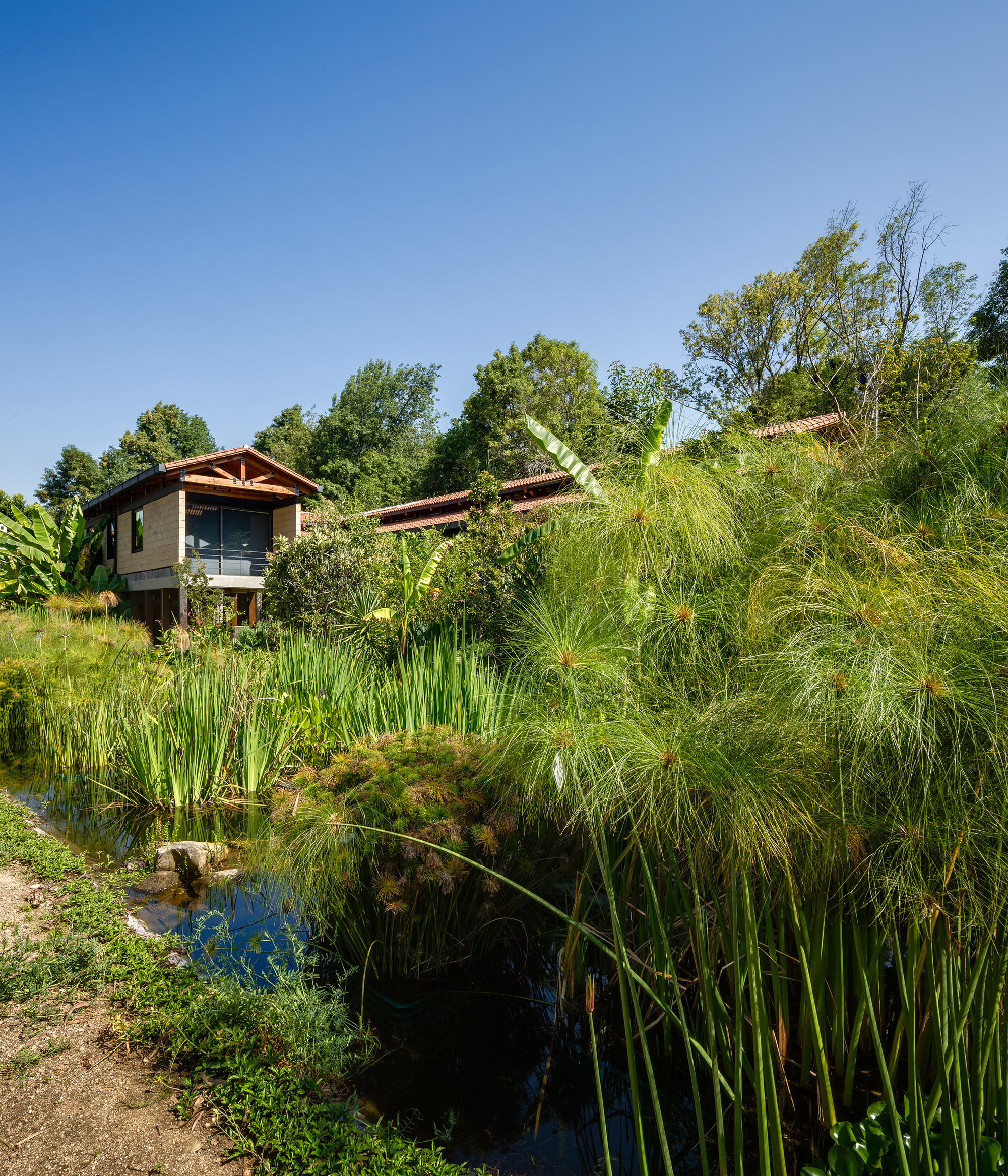 El Humedal / TAAR / Taller de Arquitectura de Alto Rendimiento-28