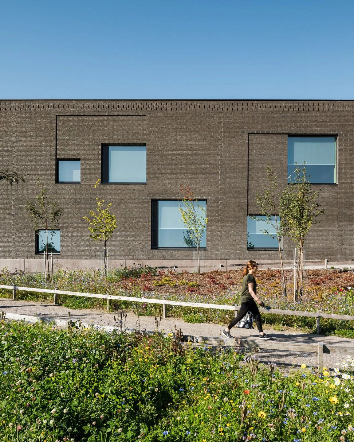 Sipoonlahti 学校扩建项目“Tandem”丨芬兰-15