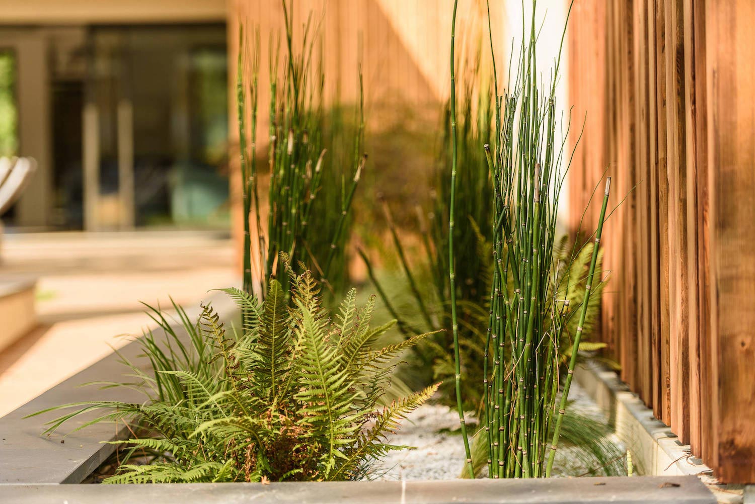 Modern wooden residence surrounded by greenery   CAANdesign  Architecture and home design blog-12