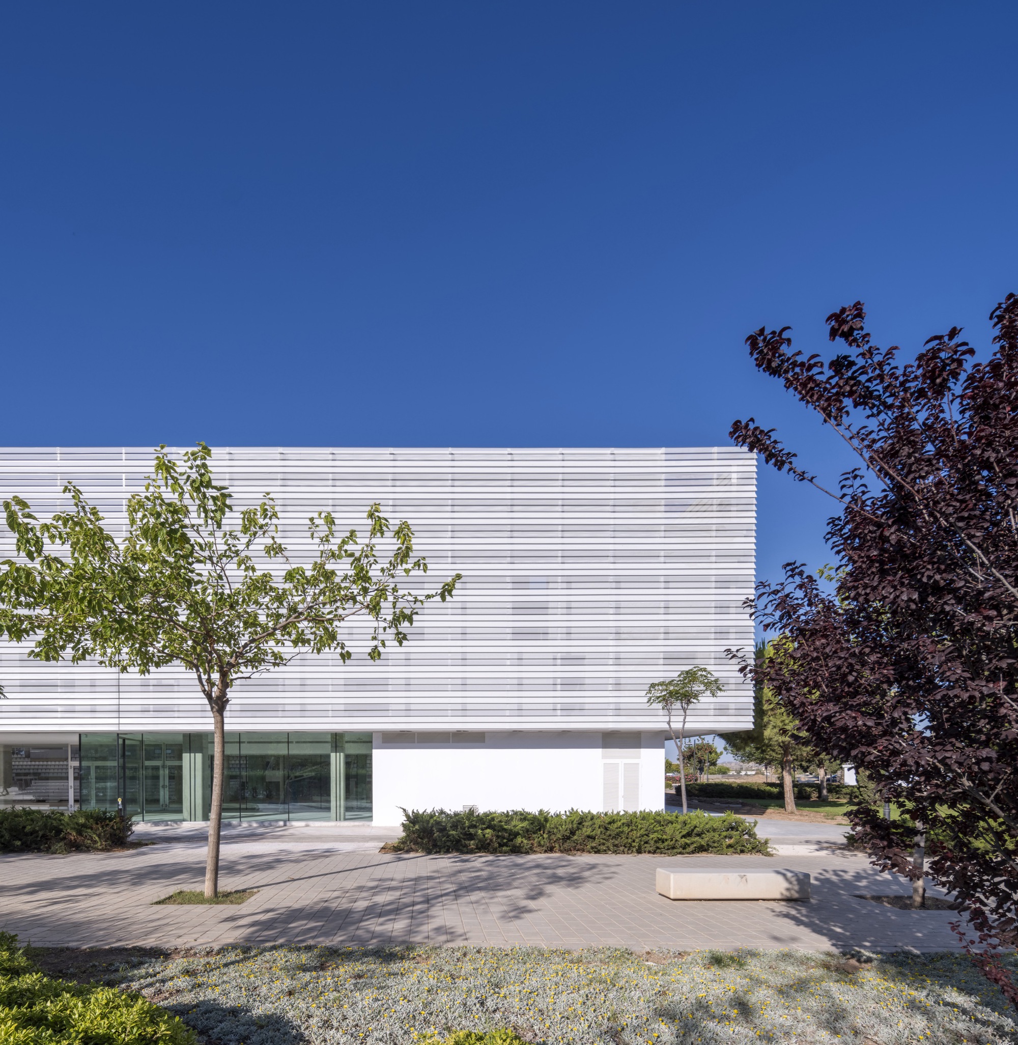 Municipal Sports Pavilion of San Vicente del Raspeig / MCEA | Arquitectura + NAOS 04 ARQUITECTOS-40