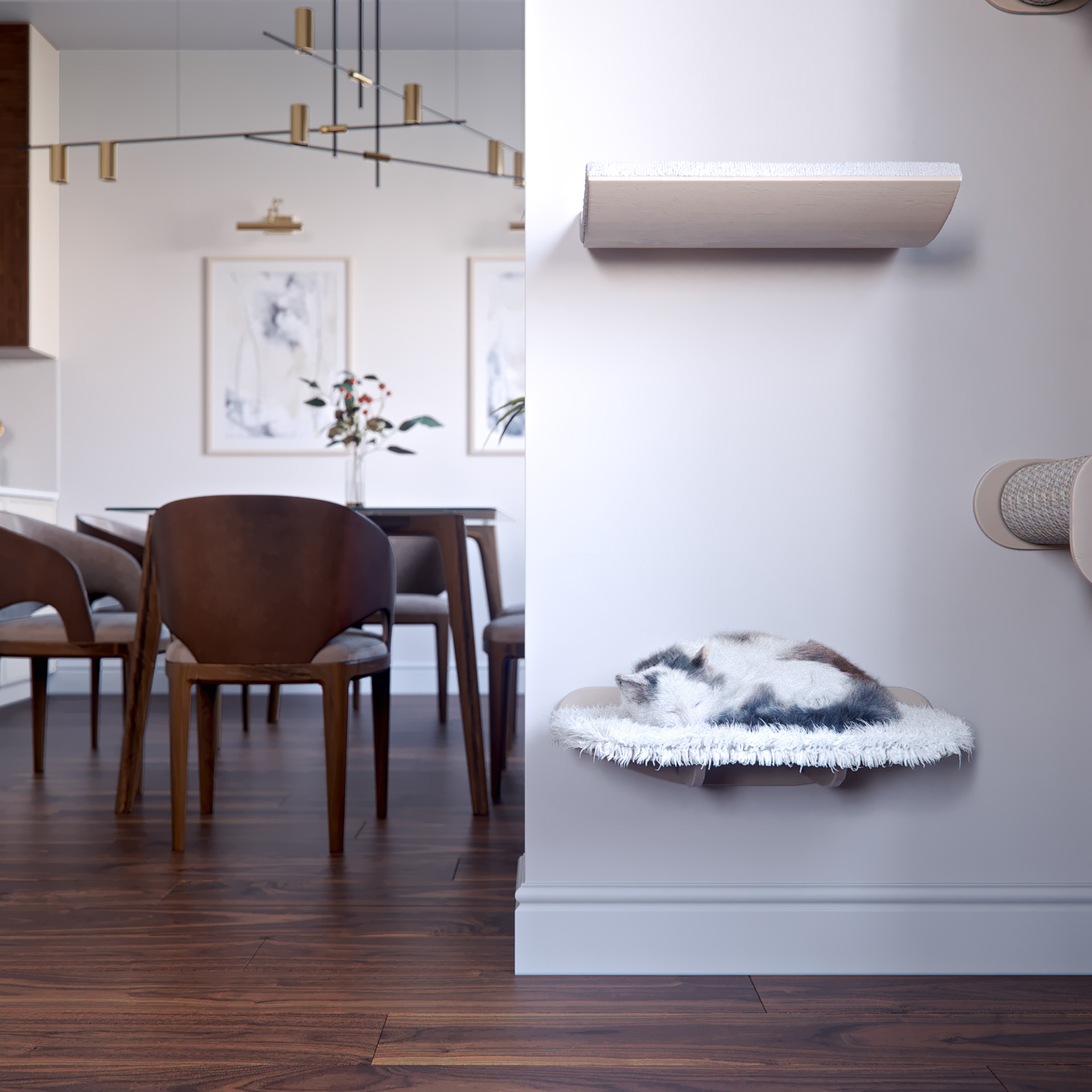 豪华厨房与客厅丨俄罗斯圣彼得堡-8