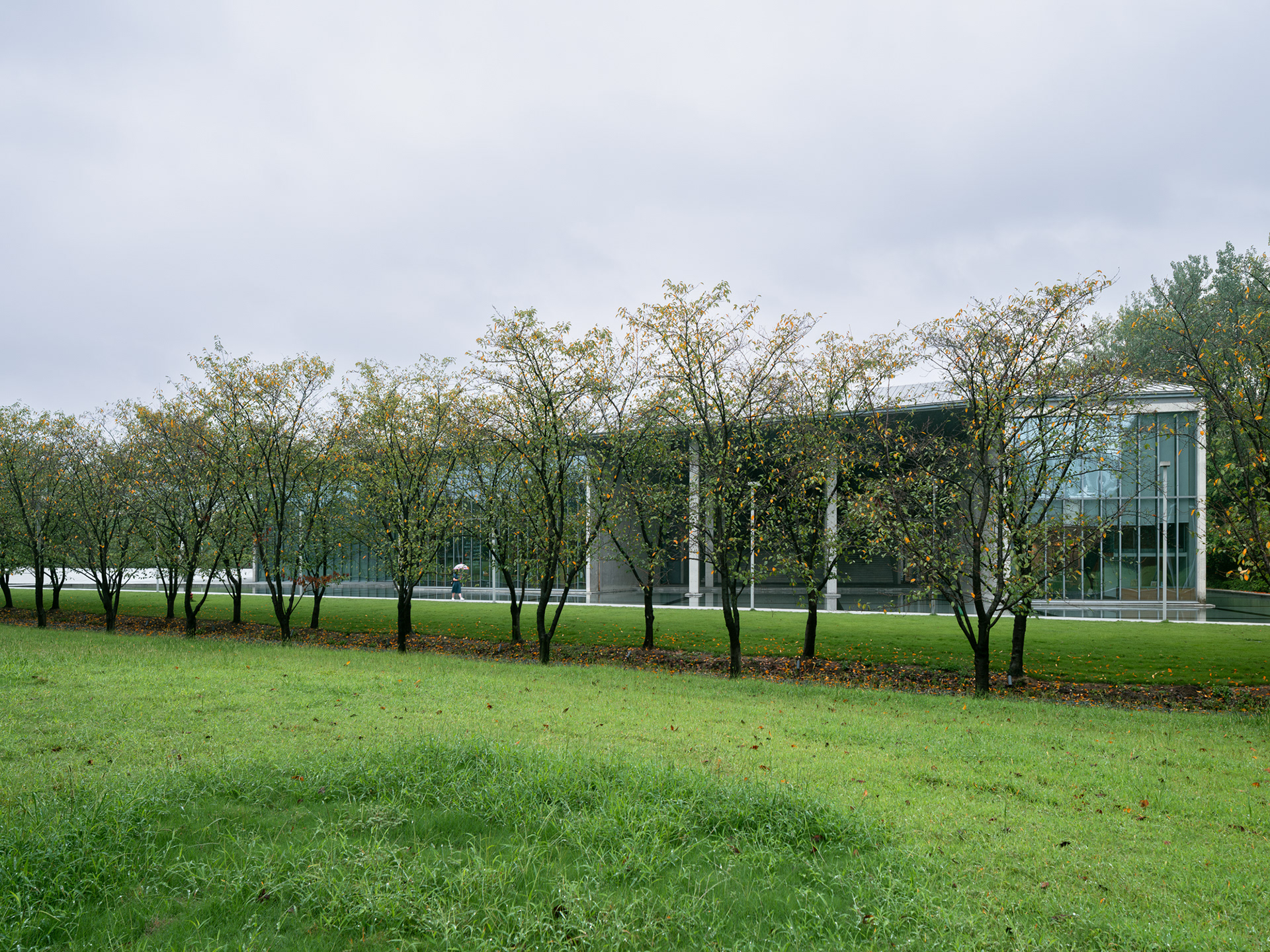 Liangzhu Village Cultural Art Center | TADAO ANDO-12