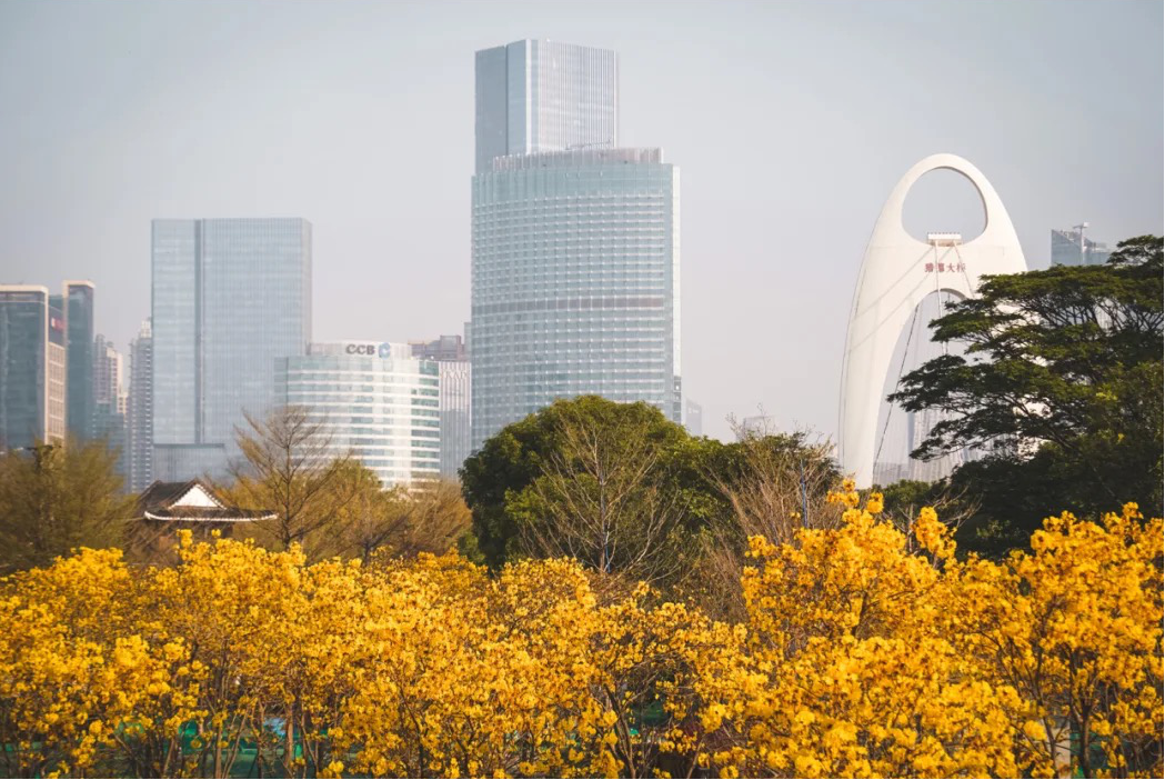 花漾广州 · 四季繁花的花城时空丨中国广州丨GZPI景观与旅游规划设计所-47