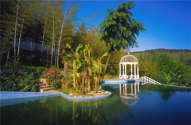 文艺大叔租下8亩林场，花16年种花养草，如今惊艳世人，连美国杂志都给他点赞-148