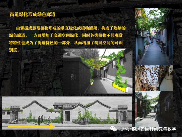 "三元"更新计划 | 磁器口东活力生命体的营造-64