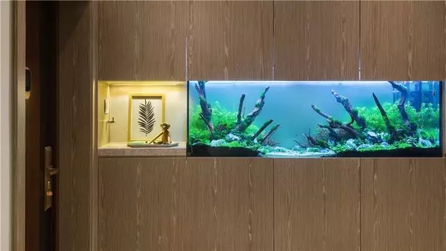 60平挤6口人，厕所当厨房？设计师神改造变豪宅-79