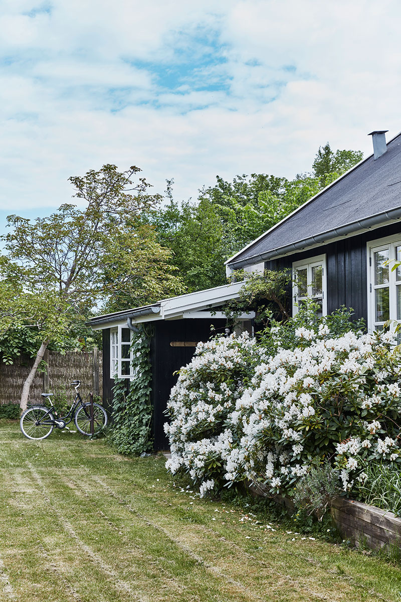丹麦设计师的温馨避风港-15