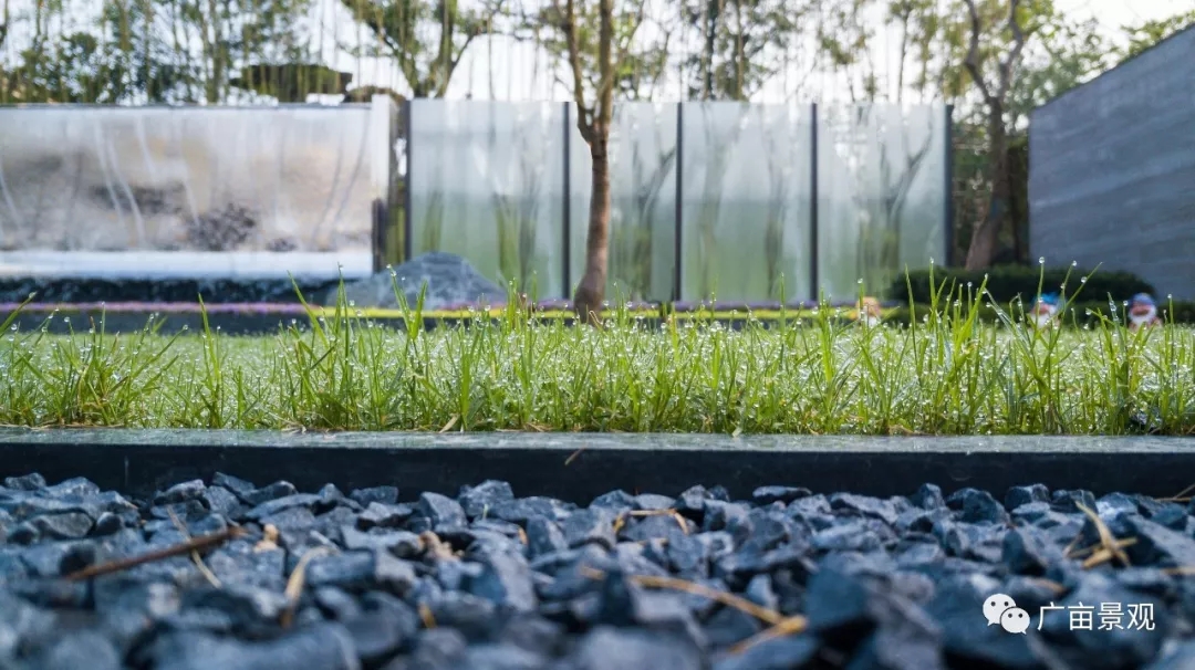 龙湖·春江天玺-22