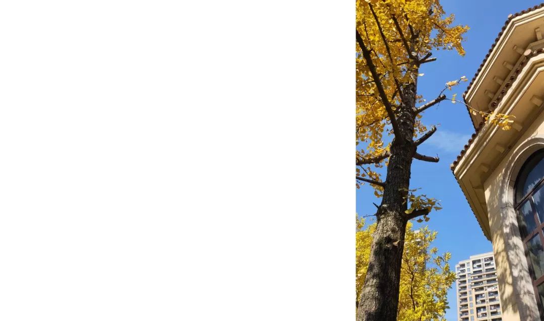 首发｜家是最小国 国是千万家-12