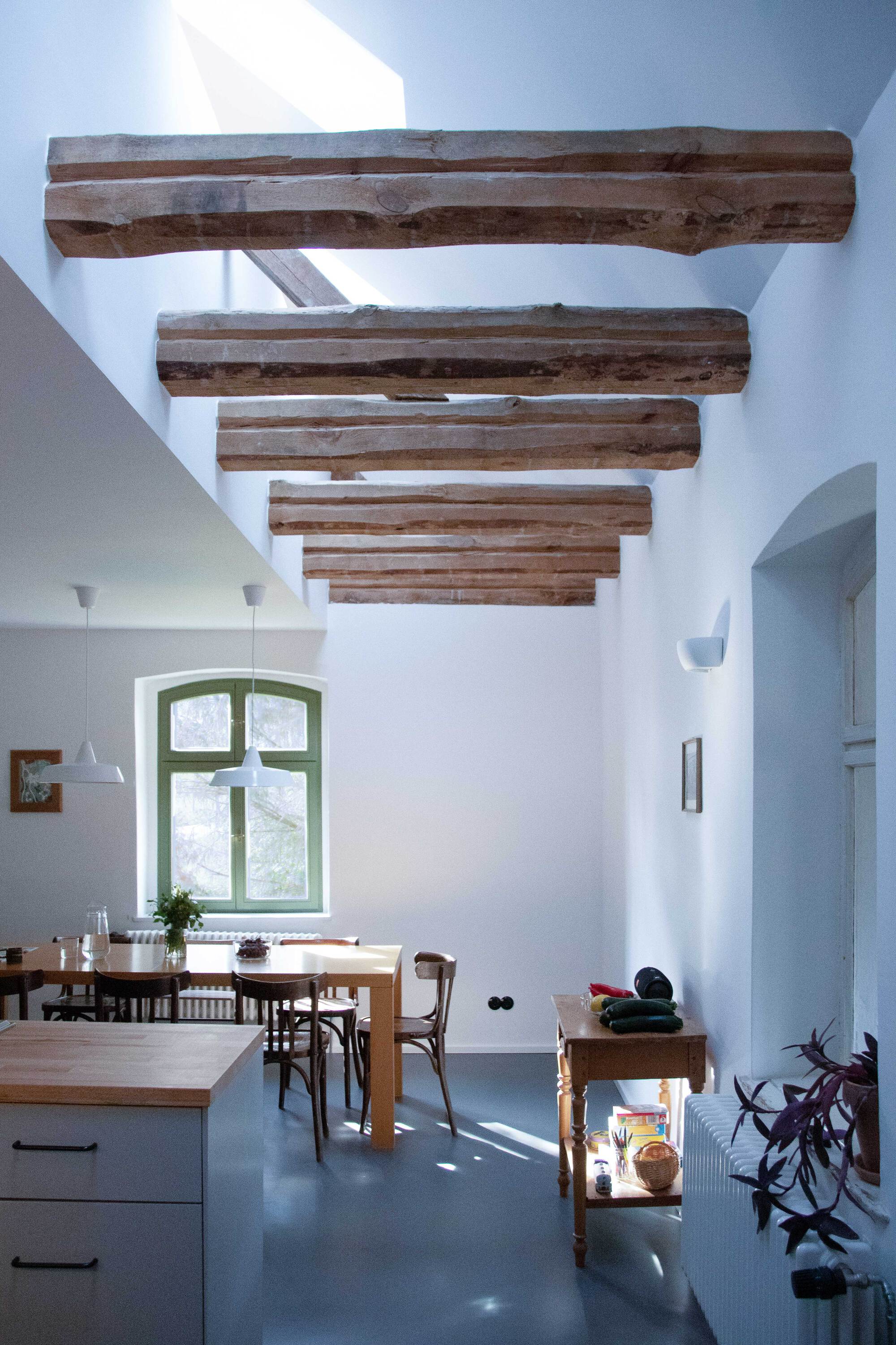 施普雷森林屋丨德国柏林丨Club Marginal Architekten-22