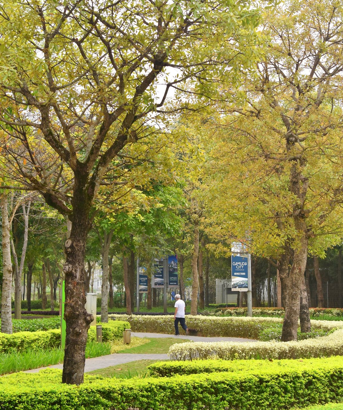 河内现代禅意公寓 · 绿色环保,和谐共生-5