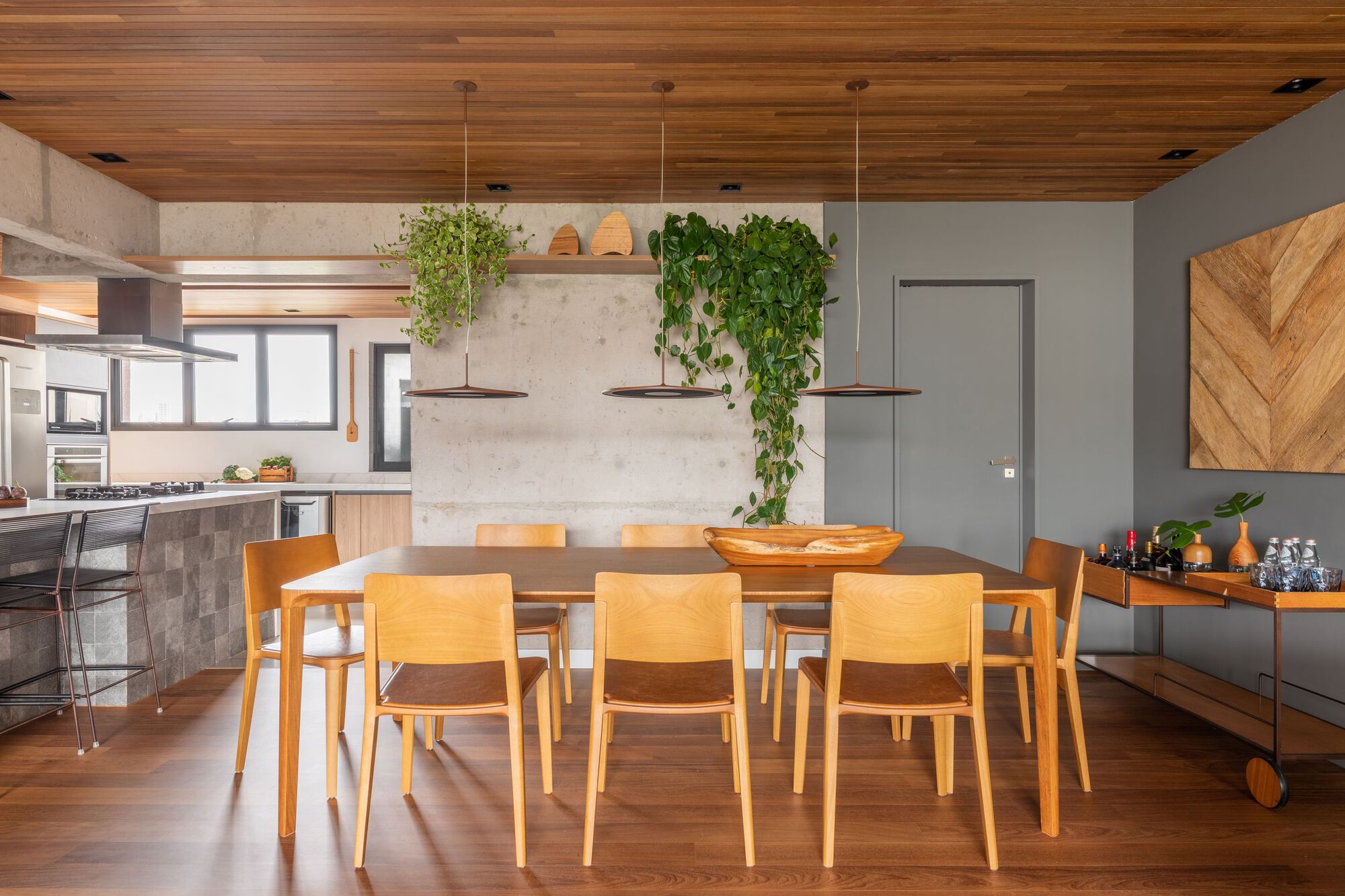 蒂托 2 号公寓丨巴西圣保罗丨Pietro Terlizzi Arquitetura-11