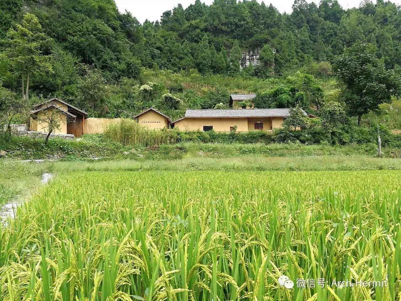 四川古蔺白马村大同民宿酒店——原生态与现代化的完美融合-110