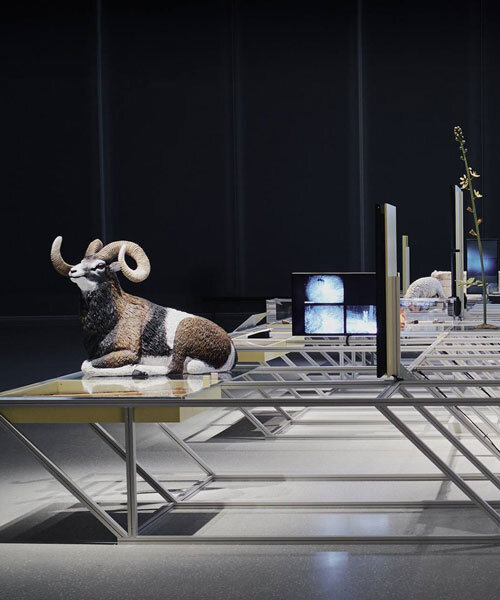 STEDELIJK MUSEUM EXHIBITS FORM丨意大利丨意大利设计工作室-0