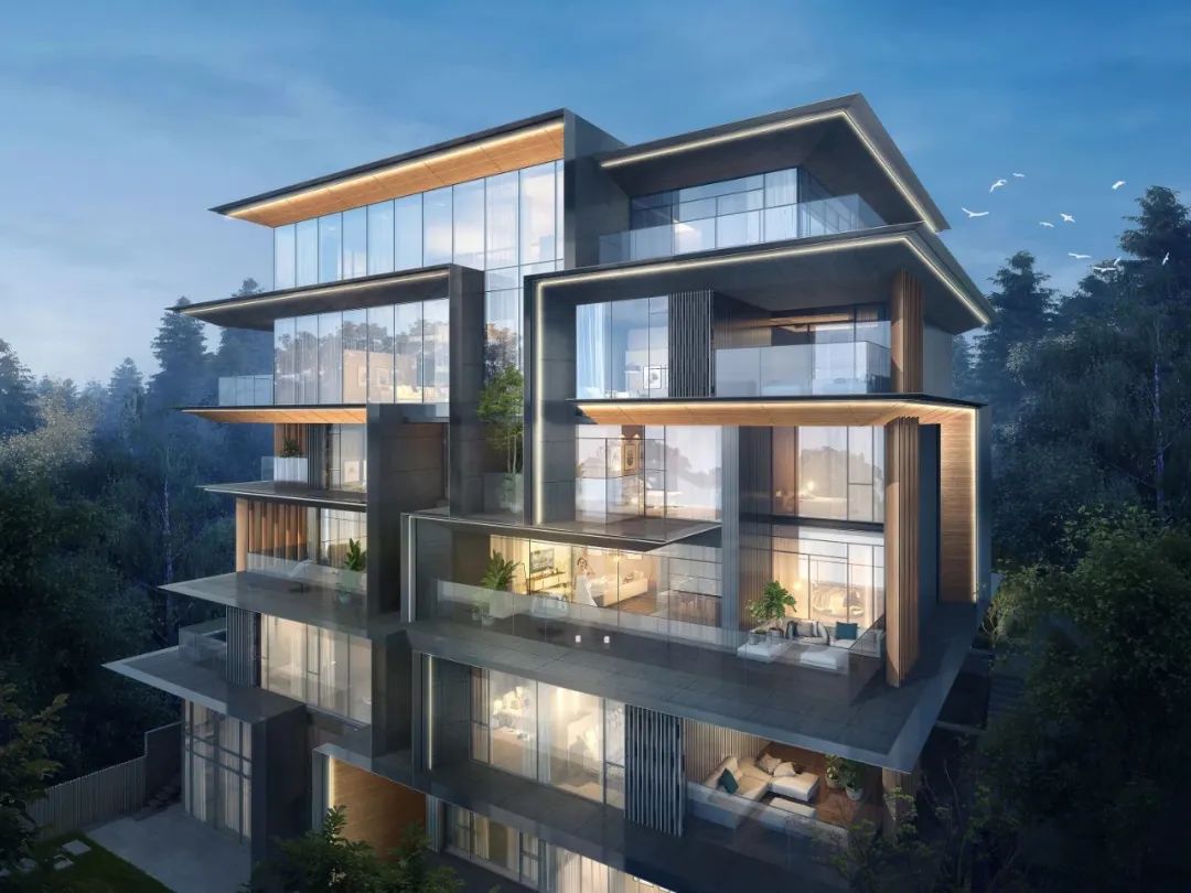 成都麓湖·黑鉐岛别墅丨中国成都丨line+建筑事务所,盘石设计,孟也,WSD 世尊-100